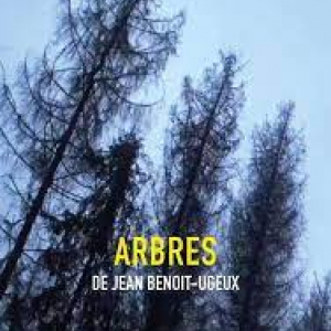 Bayard du meilleur Court-Métrage : « Arbres » (Jean-Benoît Ugeux)