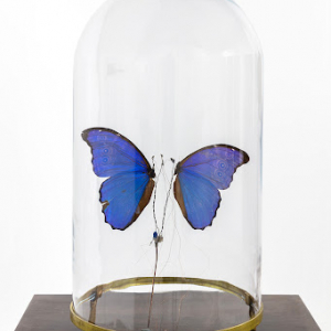 "Le Pavillon" : "Temps suspendus" © Vincent Roubaud/"Galerie In Situ" © Ph. : Sebastiano Pellion di Persano