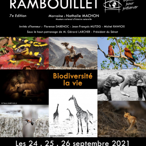 Exposition dans les Jardins de la Parfumerie Delforge © "Festiphoto de Rambouillet"