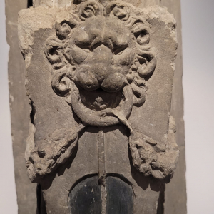 (détail) © Photo : Murielle Lecocq