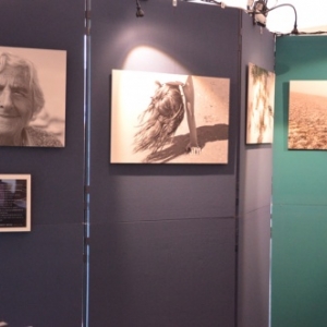 Durbuy: exposition Grandeur Nature Durbuy: exposition Grandeur Nature