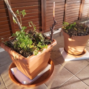 La permaculture pour sauver vos plantes