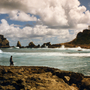 Extrait de Les Oiseaux du paradis © Aline Suter et Céline Carridroit
