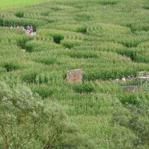 Labyrinthe de Barvaux sur Ourthe - 9853