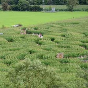 Labyrinthe de Barvaux sur Ourthe