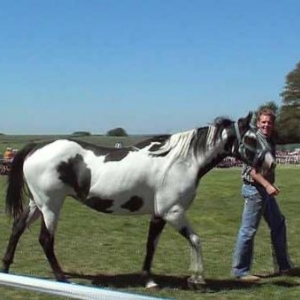 Fete du Cheval 2007-video 07