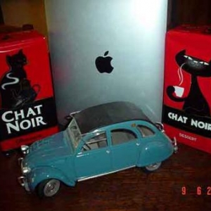 chat, noir,cafe,liege, 1920,logo,2011