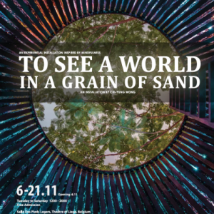 To See a World in the Grain of Sand