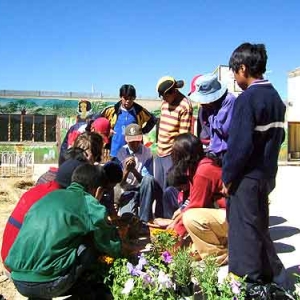 Amigo Negro Jose - 02