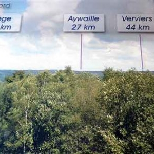 Nouvelle grande attraction au Parc Chlorophylle