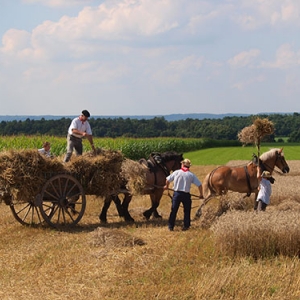 Fete de la moisson a Foy