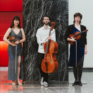 Ensemble Satelitte © Leslie Artomonow