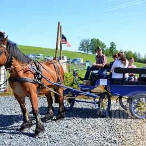 Willow Springs Western Festival - photo 2302