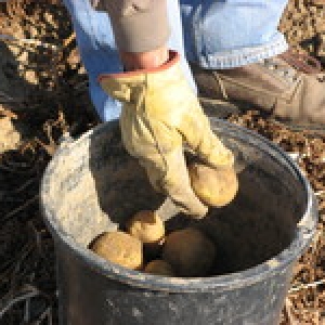  Quelle est l image de notre agriculture en 2018