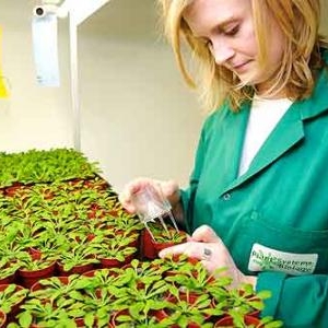 Fascination of Plants Day Fascination of Plants Day