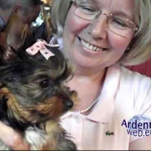 le plus beau chien du monde - video 04
