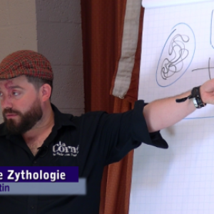 video-Corneries 2018 video-Corneries 2018