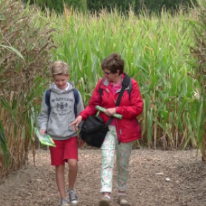 TARZAN de la jungle au Labyrinthe