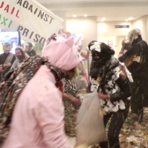 Les lapinoux du Keelbeek. Maxi prison de Haren