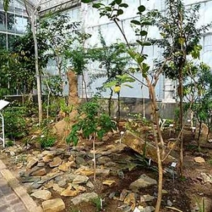 Jardin botanique national de Belgique 