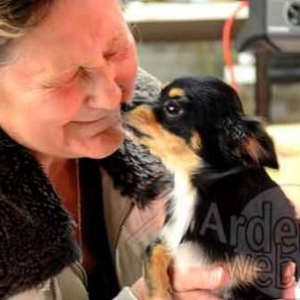 concours du plus beau chien du monde - video 5