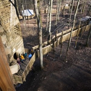 Parcours de decouverte dans la cime des arbres Parcours de decouverte dans la cime des arbres