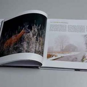 Entre Famenne et Ardenne - 3239 Entre Famenne et Ardenne - 3239