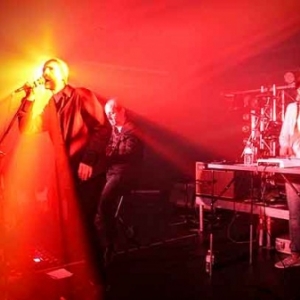 Vince The Prince Vince The Prince