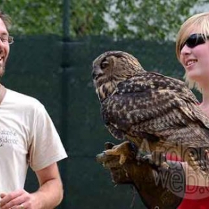 rapace au Sunpark de Vielsalm