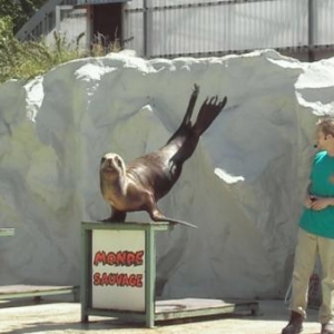 monde sauvage attraction 2007-video09 monde sauvage attraction 2007-video09