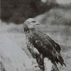 Marie-Elise artiste peintre-27-3057