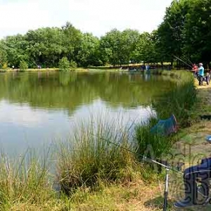 peche en famille sur etang-5141