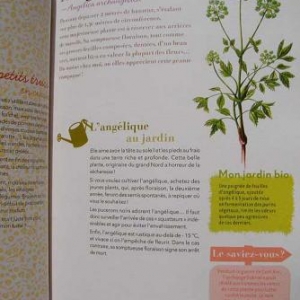 livre; Mes bonnes plantes et mes bonnes herbes