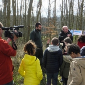  Ecole communale de Malmedy. Saumons en classe 