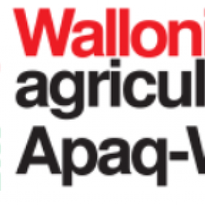 Le Blanc Bleu Belge en Wallonie