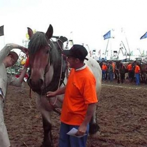 Foire de Libramont 2007-video 07-3