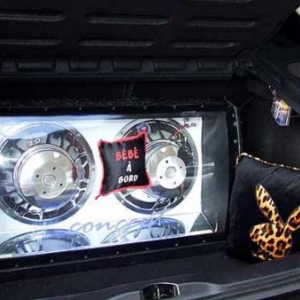 Wibrin en fete. Foire artisanale Tuning 2383
