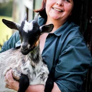 generationw. Ferme de Sureaux Ann