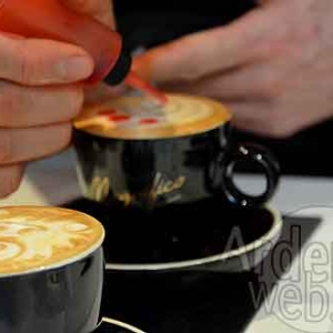 Gerard Meylaers -2172 Gerard Meylaers -2172