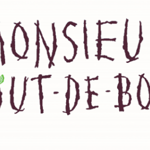 Monsieur Bout-de-Bois