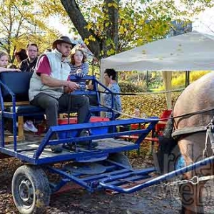 Martelange week-end du Bois - 1001