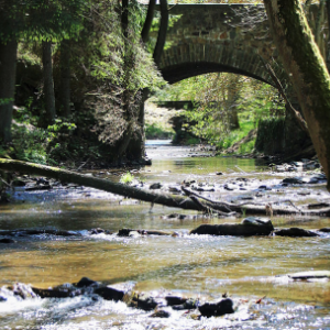  Ecole communale de Malmedy. Saumons en classe 