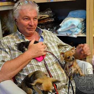 Chic life chic pet-106