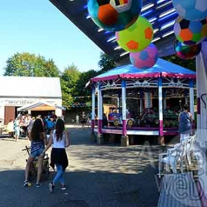 Automne en FETE Neuville Vielsalm-1646