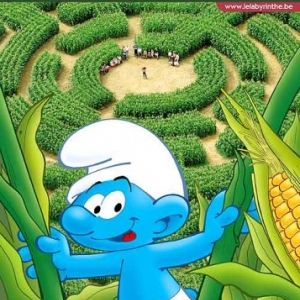 Labyrinthe Pays Schtroumpf