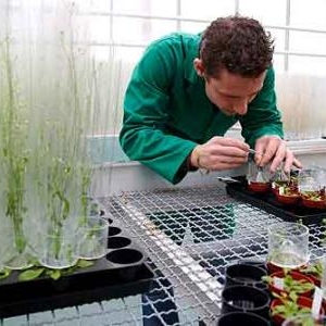 Fascination of Plants Day Fascination of Plants Day