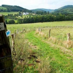 Dégustez de la viande de boeuf des réserves naturelles du Luxembourg. Dégustez de la viande de boeuf des réserves naturelles du Luxembourg.