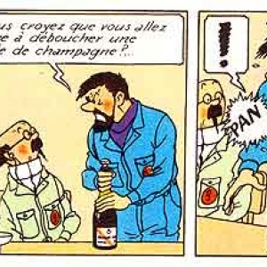 Champagne de Tintin