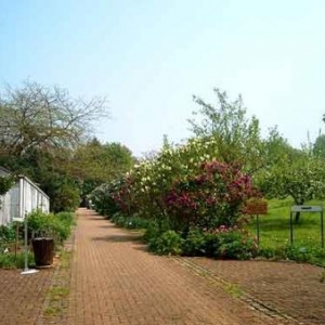 Fascination of Plants Day Fascination of Plants Day