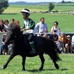 Tavigny : Fete du Cheval 2007-photo3730